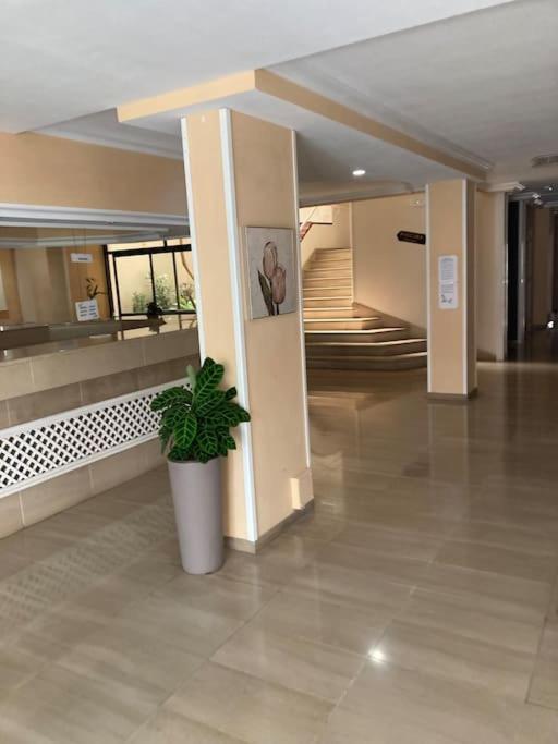 Apartament Sunset Aliss Puerto de Santiago  Dış mekan fotoğraf